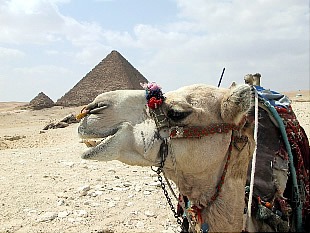 Egypt - Pyramids